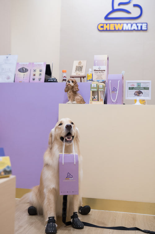 CHEWMATE store with Golden Retriever holding shopping bag