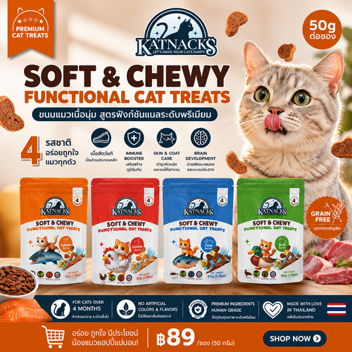 KATNACKS Soft & Chewy Functional Cat Treats - all 4 flavours