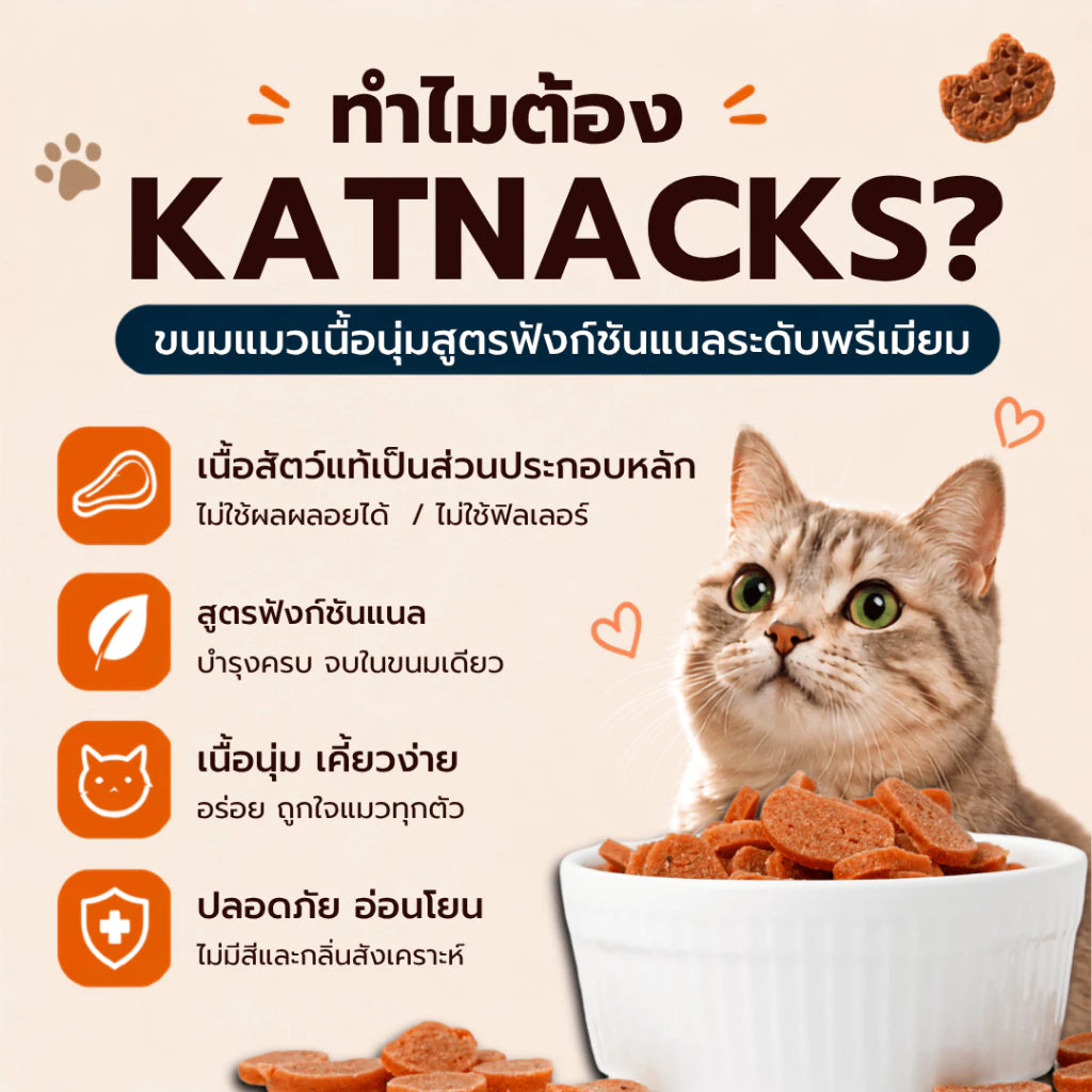 KATNACKS 4 flavours with treat texture comparison